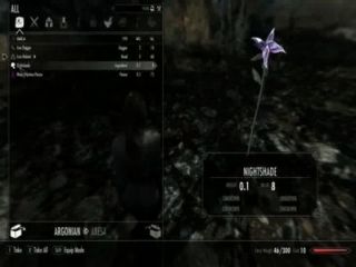 Skyrim Test Video