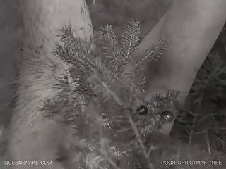 Queensnake.com - Poor Christmas Tree Part 2