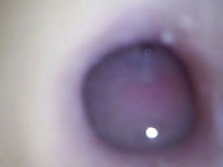 What Happens Inside Fleshlight