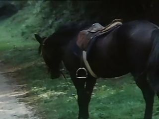 The Bird Of Pleasure 3