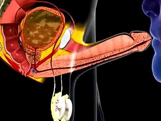 Cum In Mouth Animation